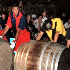 Palio Imperatore 2010