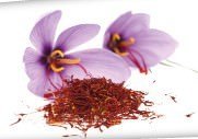 fiori 10 web  